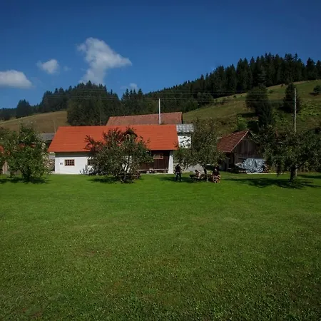 Vandrarhem Kovacija Pri Kovacu