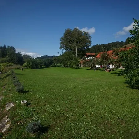 Kovacija Pri Kovacu